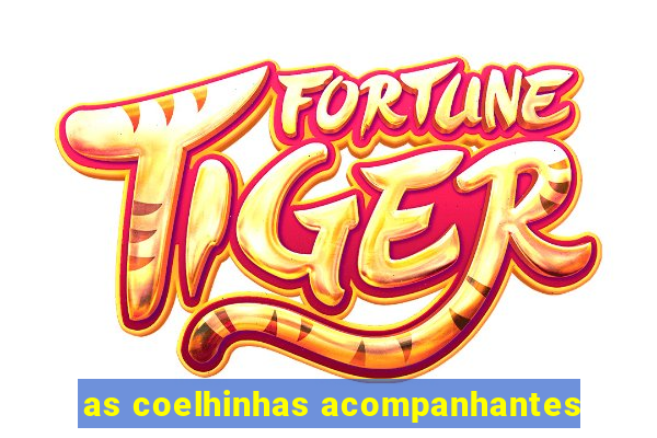 as coelhinhas acompanhantes